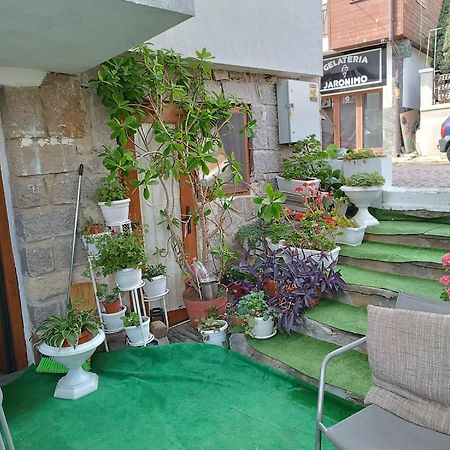 Farlalievi Guest House Sozopol Eksteriør billede