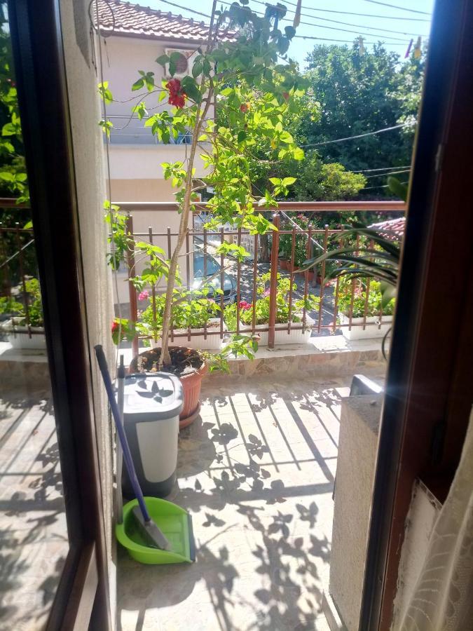 Farlalievi Guest House Sozopol Eksteriør billede